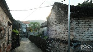 đất khu du lịch tam cốc, đất làm homestay, khách sạn, du lịch văn hoá, sổ đỏ full thổ cư 275m2