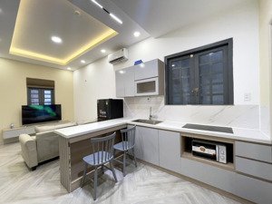 khai trương căn hộ 1pn - full nội thất cao cấp tại bình thạnh