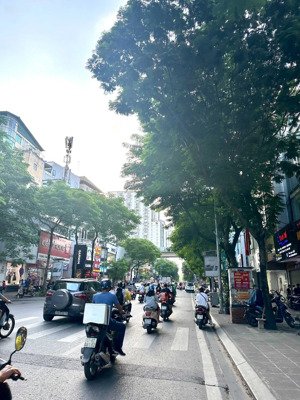 bán nhà phân lô ngõ 121 phố thái hà, quận đống đa, dt 50.5m2, 7 tầng, mt 5,5m, thang máy nhập khẩu