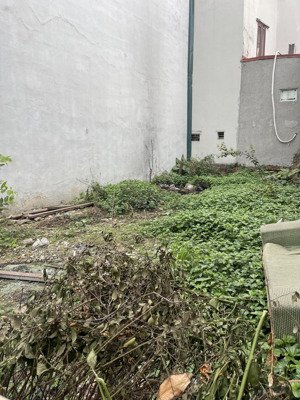 bán đất xuân la tây hồ, dt 75m mt6.5m, ngõ 3 gác, phù hợp xây ccmn, giá 12.6 tỷ