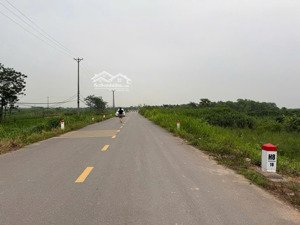 đất mặt đê bối sông hồng tại xã liên châu - phú thọ 100m2, hành lan đê 8m