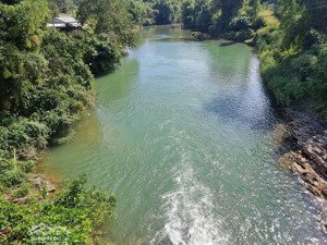 chính chủ gửi bán 1,1ha view sông 2 mặt tiền, giá chỉ 5 tỷ