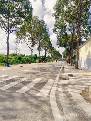 cho thuê kho tp mới bình dương