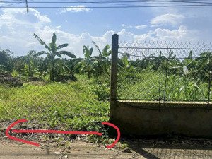 bán 365m2 đất vườn lộ ô tô gần chợ cái chanh, rạch xẻo da, thường thạnh, cái răng, cần thơ