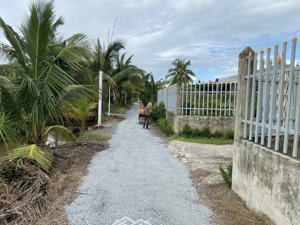 vườn 15x35 (517m2) cho lên full thổ, đường xe hơi, cách dt816 300m