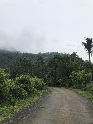 siêu hot! kim bôi hoà bình, 1000m2, 200tc, mt 25m, ô tô tránh,gần khu dl sinh thái, 1,1 tỷ