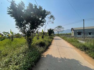 bán 2000m2 1000m2 ont tại cao phong, hoà bình