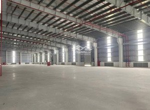 cho thuê nhà xưởng 10.000m2 tại tiên lãng, hải phòng