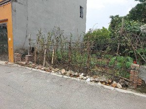 bán đất tại đường an lạc, thị trấn trâu quỳ, gia lâm, hà nội, 8 tỷ, 75 m2