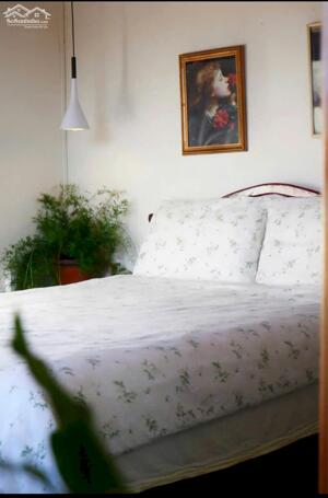 Cho thuê homestay đẹp, đang kinh doanh tại Tô Hiệu, Phường Langbiang, Đà Lạt