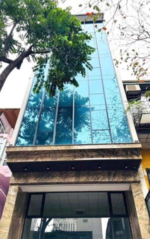 bán nhà mặt phố gần cát linh tôn đức thắng đống đa, 7 tầng thang máy kd dt 55m mt 5m giá 37tỷ