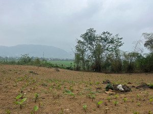 bán đất thổ cư view sông giá rẻ tại xã ba vì, thành phố hà nội.