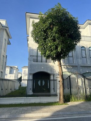 bán biệt thự song lập 162m2 hướng dương, vinhomes star city, 8,8 tỷ, 3,5 tầng rẻ nhất việt nam