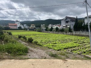 bán đất tại xã hiệp an, đức trọng, lâm đồng, 1,55 tỷ, 152,6 m2 - giáp đà lạt