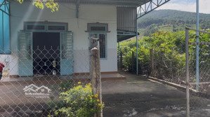 chỉ 1 tỷ 2 sở hữu ngay nhà cấp 4 nhỏ xinh tại nam ban lâm hà , view đồi thông