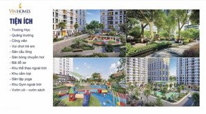 hỗ trợ tư vấn noxh tràng cát hải phòng: noxh chuẩn vinhomes giữa trung tâm phát triển hải phòng