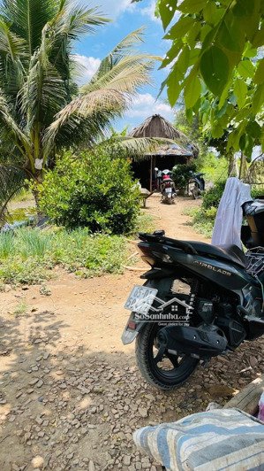 bán trang trại đẹp xuất sắc tại đt 839, đức huệ, long an, 4,168 tỷ, dt 10,800 m2