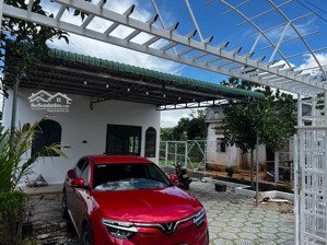 mua đất tặng nhà nghỉ dưỡng tại đông thanh, lâm hà, lâm đồng với diện tích lên tới 1172m2