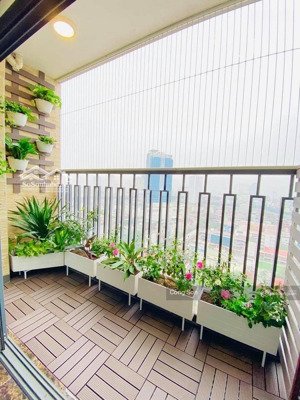 bán căn hộ cc tại ct4 vimeco ii, 85 triệu / m2, 141 m2, view đẹp, hot!