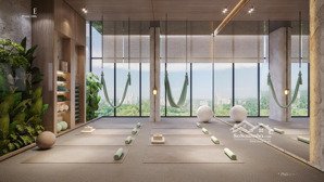 bán căn hộ 1 pn hạng sang tại lumière cổ loa