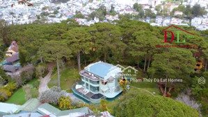 duy nhất 1 sản phẩm biệt phủ đà lạt tọa lạc đỉnh đồi nguyễn khuyến, gần 5000m2 đất ở tư nhân