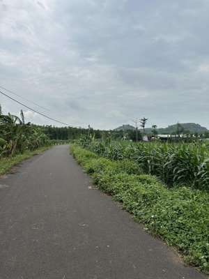 bán đất giá đầu tư- xã xuân sơn, tp.hcm chỉ 470 triệu/lô (có 20 lô)