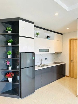 chính chủ bán chung cư đại thanh 2 ngủ 2 vệ sinh siêu đẹp