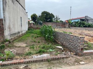 bán gấp đất tại xã mai đình, sóc sơn, hà nội, giá 3,99 tỷ, diện tích 120m2