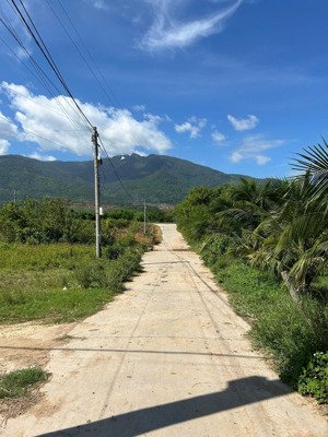 cần bán đất full thổ cư tại thôn trung xã nam ninh hòa (ninh tân cũ) vị trí đẹp gần chợ,