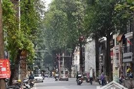 mặt phố cảm hội, lò đúc, hai bà trưng. 50m x4t ô tô tránh, vừa ở vừa kinh doanh. vài bước ra lò đúc