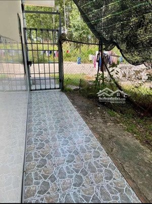 chủ ngộp ra gấp dãy trọ gần kcn thới hòa mỹ phước 4 đường n13, 1kiot 4phòng thu nhập 8tr/tháng, shr