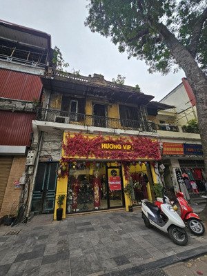 cho thuê nhà mặt phố hàng trống trung tâm hoàn kiếm, diện tích 50m² mặt tiền 4m. kd mọi mô hình