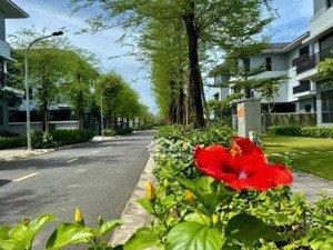 tháng 7/2025! quỹ căn biệt thự, liền kề vị trí đẹp, chủ nhà thiện chí bán, giá tốt nhất thị trường