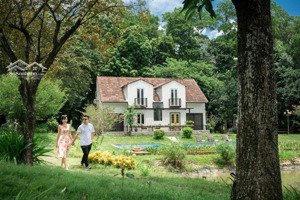 bán khu nghỉ dưỡng vân hòa, ba vì dt gần 6000m2 đã có 2 biệt thự 2 bungalow dòng tiền 300tr/th