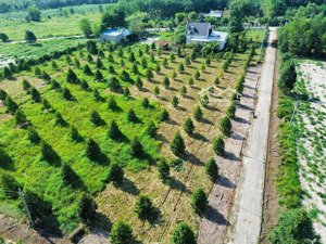 chỉ 360 triệu vnd - đất 400m2 tại kcn minh hưng 3, đường 11, chơn thành, bình phước