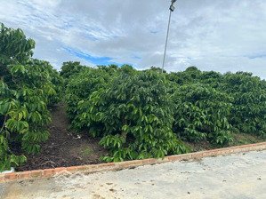 bán 21000m2 đất nhà vườn ao suối -xã liên hiệp đức trọng lâm đồng 12 tỷ