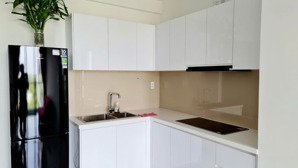 cho thuê gấp căn góc d''lusso 2pn, 1wc ( giá : 11,5tr ) 55m2