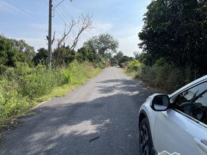 bán đất tại xã an điền, bến cát, bình dương, 7,5 tỷ, 979 m2