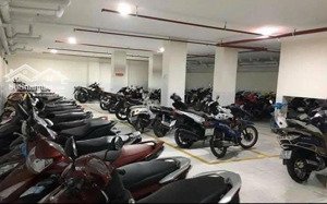 bán tào nhà ngang 20m mt nguyễn văn trỗi p17, phú nhuận, hầm 8 tầng, hđ thuê 1,2 tỷ. giá 250 tỷ