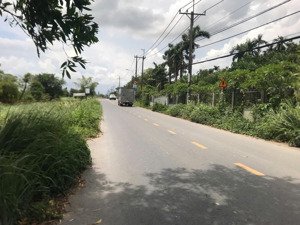 khuôn viên nhà vườn có sẵn vườn cây ăn trái mặt tiền đường lớn bình mỹ, củ chi