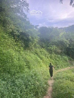 bán lô đất siêu đẹp 5.605m tại đồng bồ đông xuân giá chỉ từ 2,800triệu/m đã có sổ đỏ sẵn