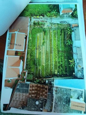 2 lô liền kề hơn 400m2 thích hợp xây biệt thự, nhà xưởng tại tdp nông xá, phường an dương