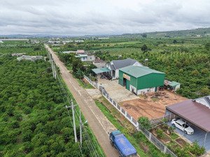 an cư lý tưởng đầu tư sinh lời tại đinh văn, lâm hà khí hậu mát mẻ quanh năm