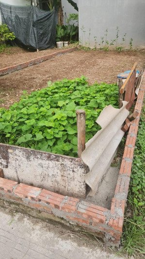 bán đất yên nghĩa, hà đông, 30m2, ngõ rộng, cách đường ôtô tránh chỉ 10m, siêu rẻ chỉ nhỉnh 2 tỷ.