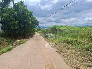 view rừng thông ôm quanh 549m² 200m2 ont tại gia lâm, ngay nam ban, lâm hà ven đà lạt