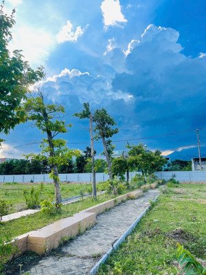 hàng đẹp - chào bán mặt tiền trương công huấn, view công viên thuộc liên chiểu cũ, giá tốt đầu tư