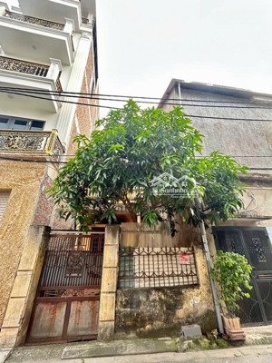 bán đất thị trấn trâu quỳ gia lâm đường 6m ô tô tránh trung tâm phát triển 8.1 tỷ