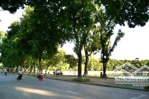 chính chủ cần bán - mặt phố nguyễn du - mặt tiền quyền lực 8.3m - 6tầng thang máy