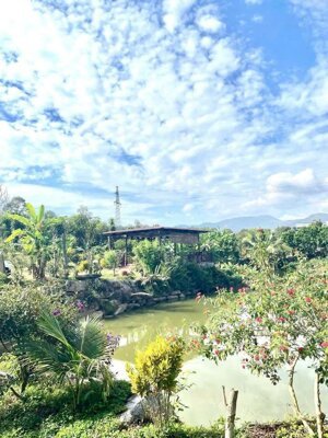 Bán Gấp Đất Bảo Lộc 150m² (6x25m) – 100m² Thổ Cư – Sổ Hồng Sẵn – Giá 490 Triệu!