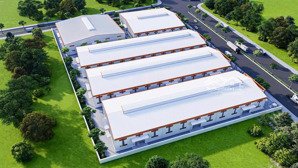bán kho xưởng mới xây 100% kcn thủ thừa , long an, diện tích : 4.200m2, pccc tự động